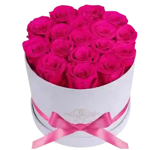 💖 Caja Fucsia Impacto