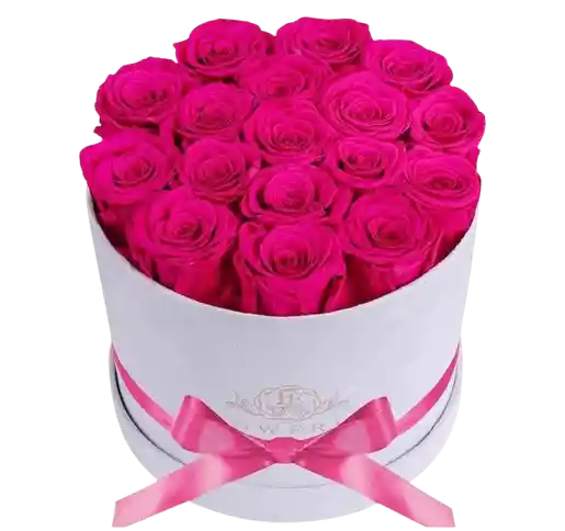 💖 Caja Fucsia Impacto