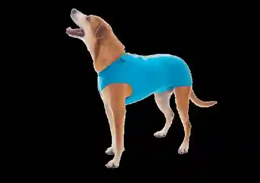 Faja Castracion Macho Dry Talla 10
