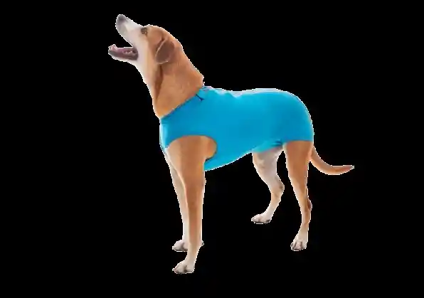 Faja Castracion Macho Dry Talla 10
