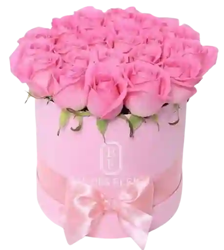 🌷 Caja Rosa Chic