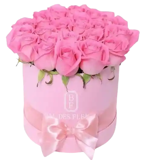 🌷 Caja Rosa Chic