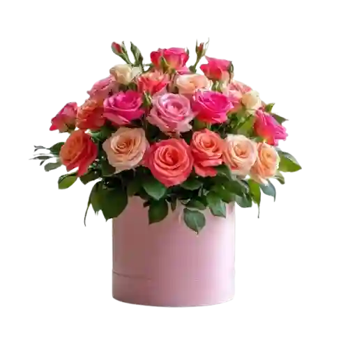🌸 Caja Rosas Primavera