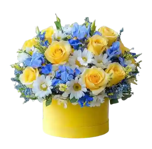 💛 Caja Aurora Azul