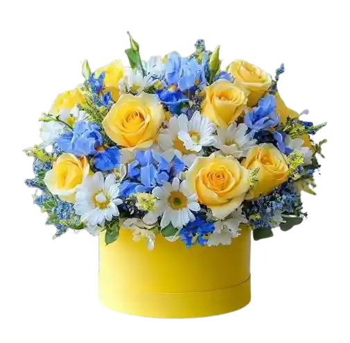 💛 Caja Aurora Azul