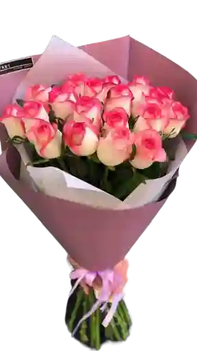 Encanto Rosa
