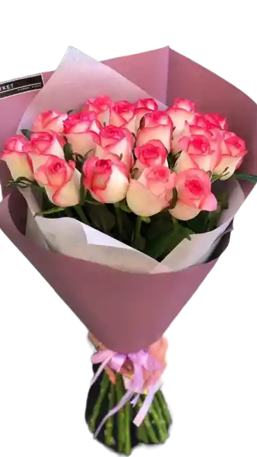 Encanto Rosa