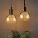 ⭐bombillo Led Ecolite, Filamento 4w, Dimerizable, Rocas E-27, Ving2⭐