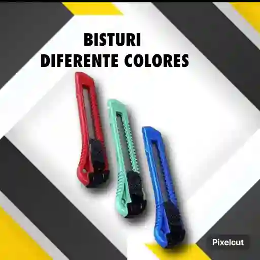Bistury Economico-empaque