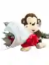 Bouquet De Rosas Y Peluche De Mono