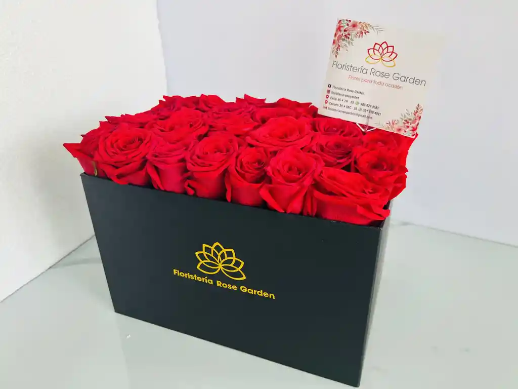 Box Élégance Urbaine