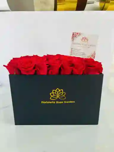 Box Élégance Urbaine