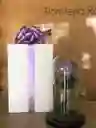 Rosa Preservada Con Caja