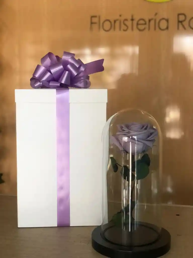 Rosa Preservada Con Caja