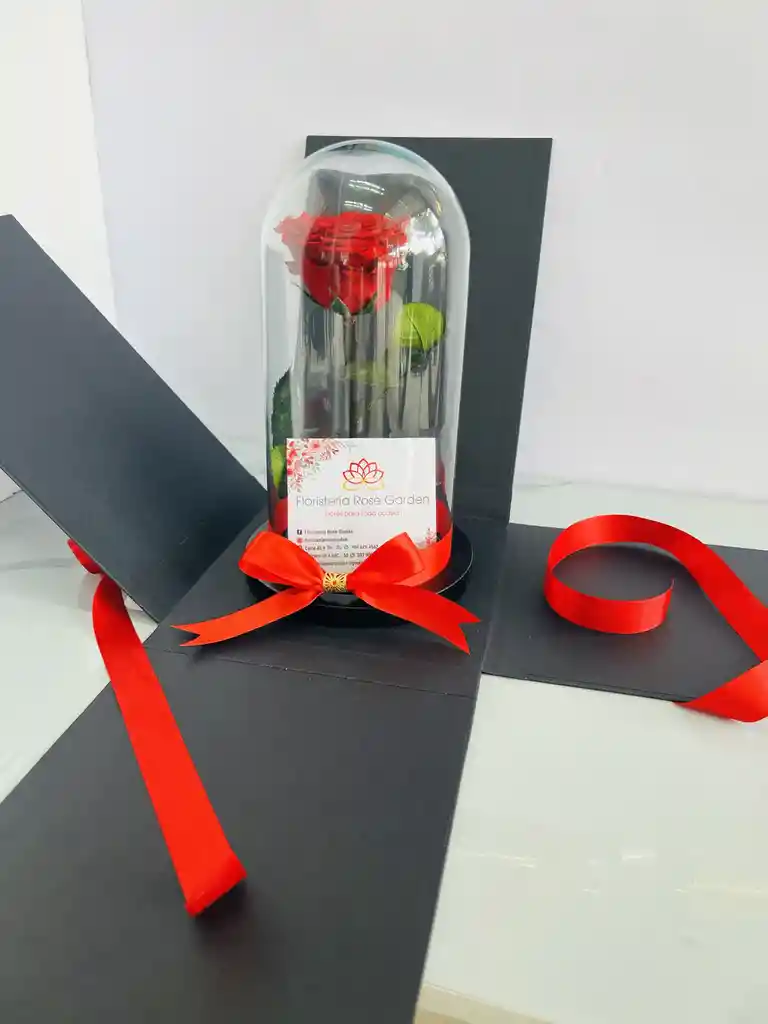 Rosa Preservada Con Caja