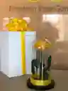 Rosa Preservada Con Caja
