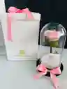 Rosa Preservada Con Caja