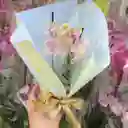 Orquidea Mini