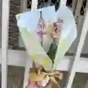 Orquidea Mini