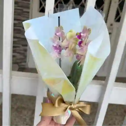Orquidea Mini