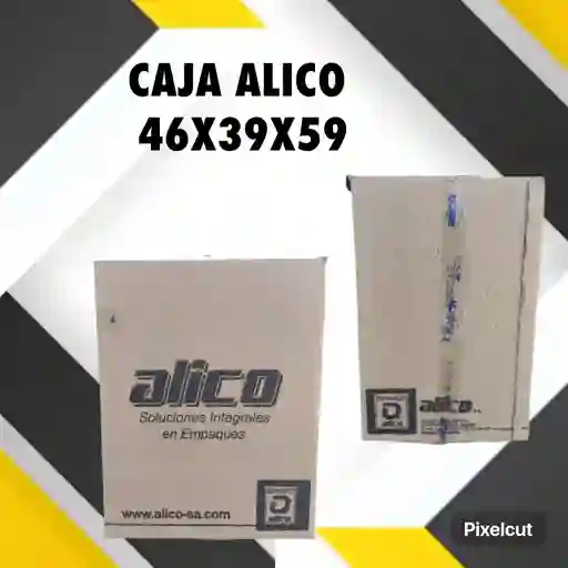 Caja Grande Alico 59x46x39