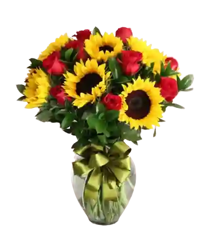 Girasoles Y Rosas, Flores Amar Y Brillar
