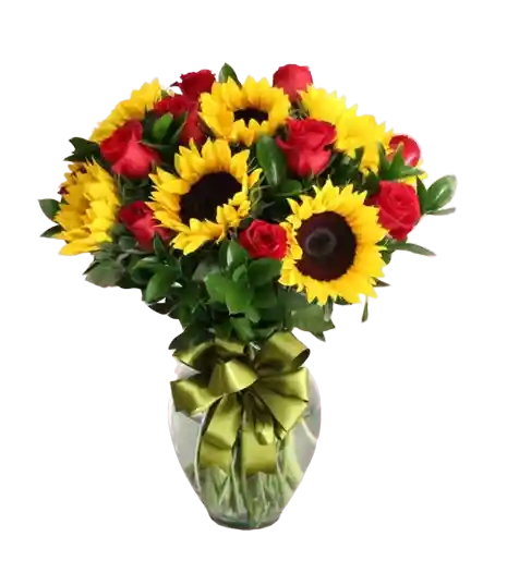 Girasoles Y Rosas, Flores Amar Y Brillar