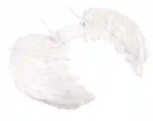 Alas De Angel Blancas Halloween - 60x40cm