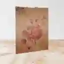 Bolsas De Regalo
