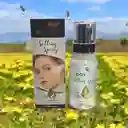 Fijador De Maquillaje Spray Fixer Day X 100 Ml