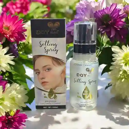 Fijador De Maquillaje Spray Fixer Day X 100 Ml