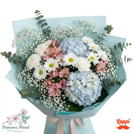 Elegancia Azul Del Campo