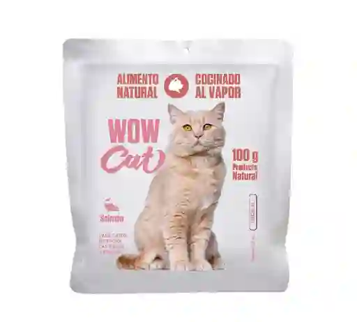 Wowcan Gato Dieta Salmon X 100 Gr