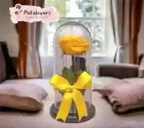 Rosa Preservada Amarilla Flores