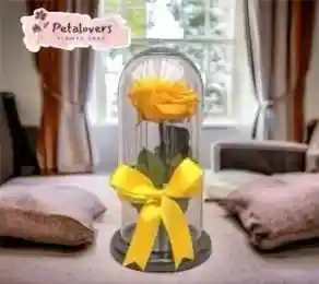 Rosa Preservada Amarilla Flores
