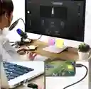 Micrófono Profesional Usb Condensador Sf-666r Con Iluminación Rgb, Soporte Estable, Filtro Antipop Y Plug & Play Para Gamers Y Streamers