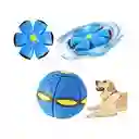 Pelota Frisbee Para Perros Color Aleatorio M11