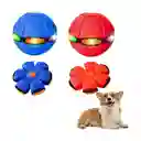 Pelota Frisbee Para Perros Color Aleatorio M11