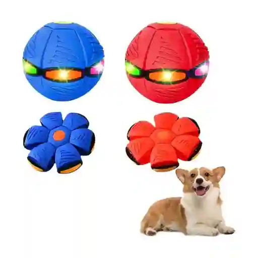 Pelota Frisbee Para Perros Color Aleatorio M11