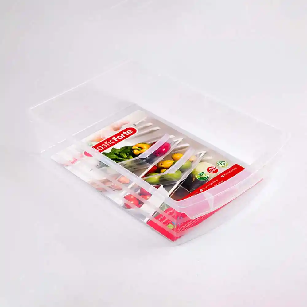 Organizador Plasticforte 38x9x25cm Translucido Plastico