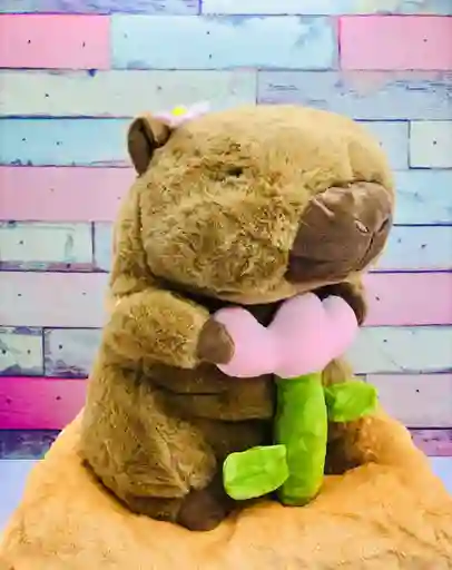 Peluche Con Cobija Edicion Capibara