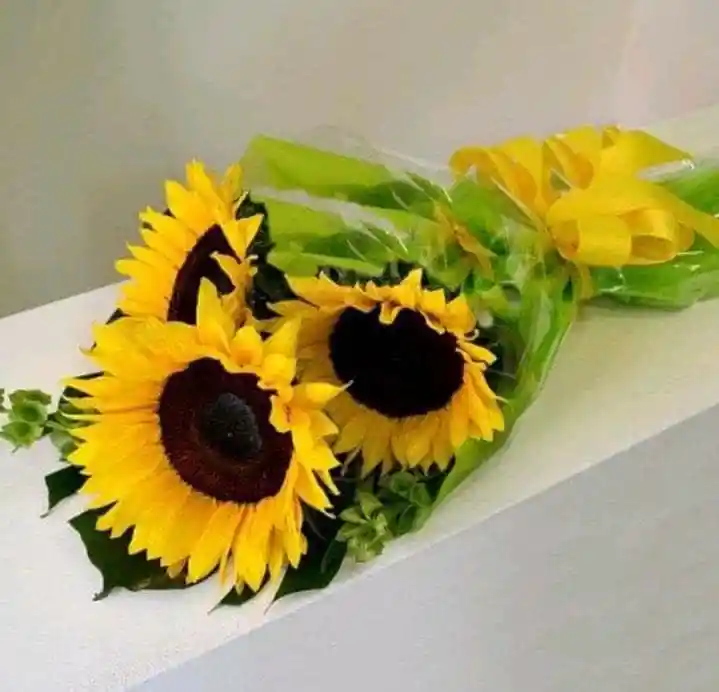 Bouquet Tri-girasol