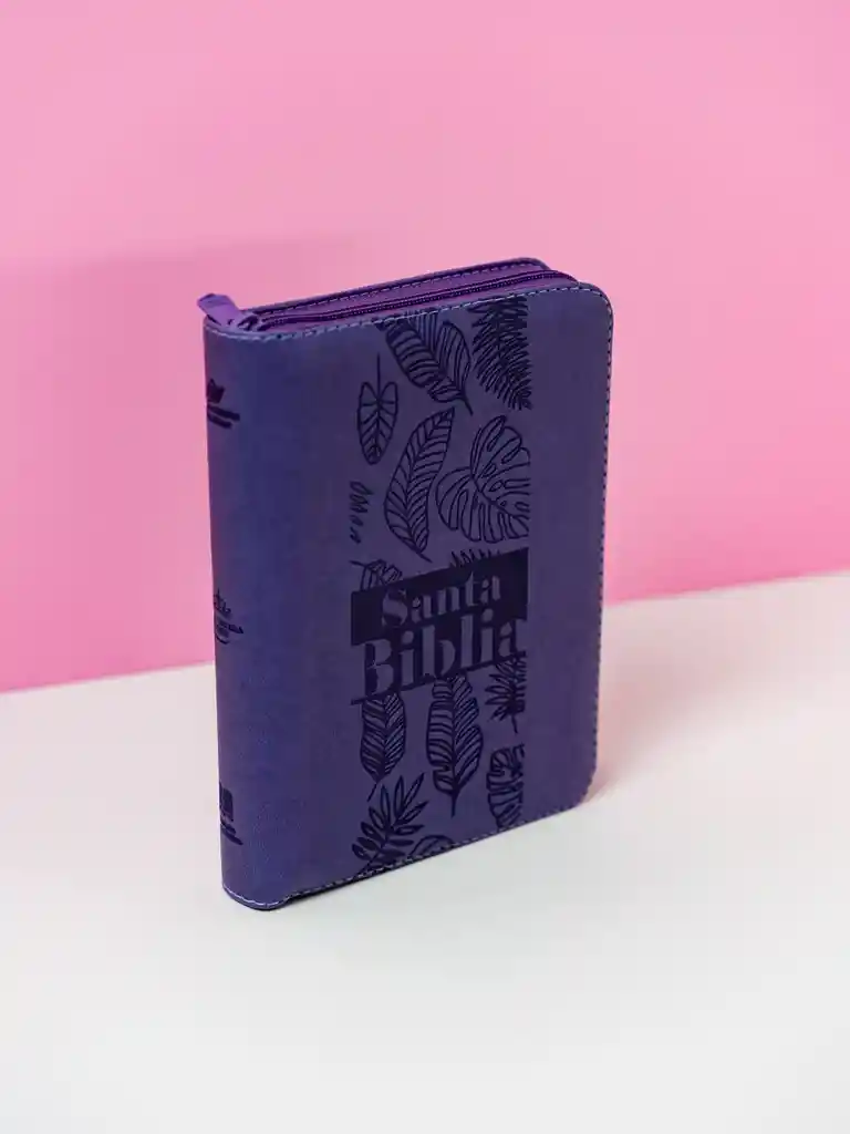Biblia Reina Valera 1960