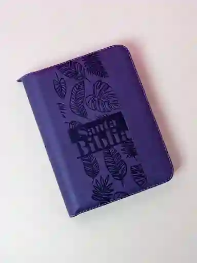 Biblia Reina Valera 1960