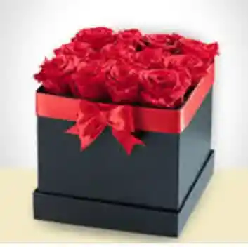 Caja Cuadrada/12 Rosas