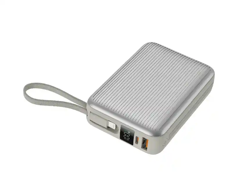 Power Bank 10000 Mah Pw-1012