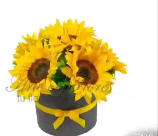 Caja Cuadrada/6girasoles