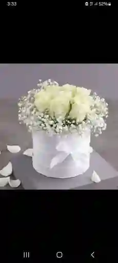 Caja Cuadrada/8 Rosas Blancas