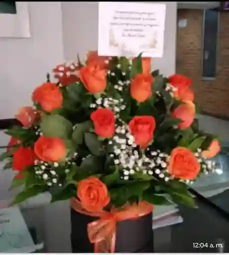 Caja Cuadrada/24 Rosas Salmón