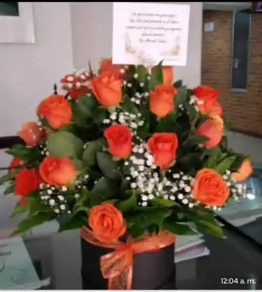 Caja Cuadrada/24 Rosas Salmón